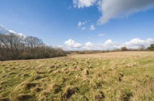 Photo 19- click for photo gallery